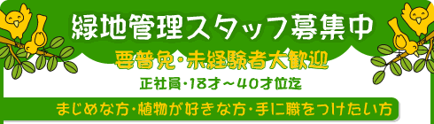 スタッフ・正社員募集中