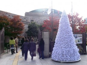 大きなクリスマスツリーです。