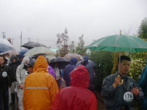 競り市