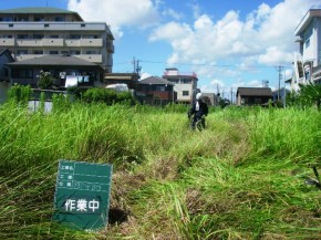 作業状況です。