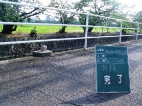 完了　樹木をそのままにしておくと垣根が崩れてしまいます。