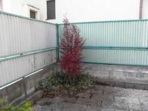 シンボルツリーにヒメシャラを植栽。紅葉がきれいです。