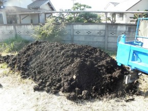 搬出状況 まだ、幹の形を残した物もあります。