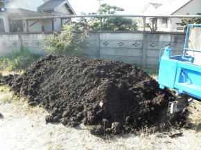 まだ、幹の形を残した物もあります。