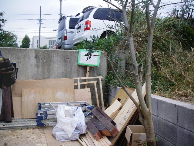 駐車場 作成準備とオリーブ移植をしました ガーデニング 庭作り 芝生 樹木 砂利販売なら庭園アドバイザーの当社へ 名古屋 知多 半田