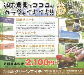 グリーンエイチさん 広告