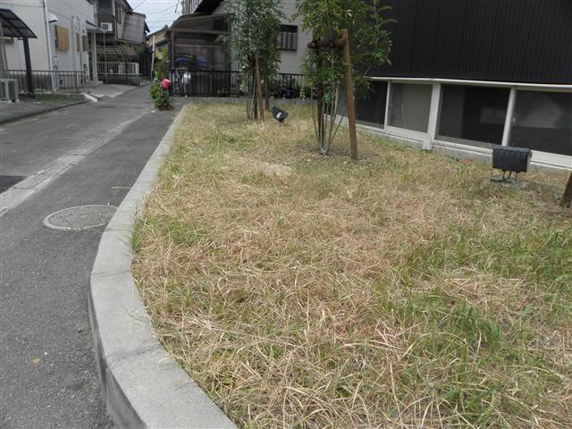 剤 チガヤ 除草