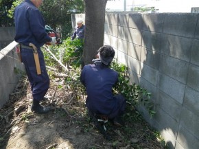 伐採 作業中