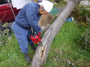 樹木補修 ガーデニング 庭作り 芝生 樹木 砂利販売なら庭園アドバイザーの当社へ 名古屋 知多 半田