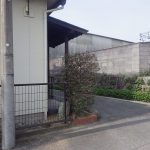強剪定を行いました