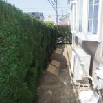 半田市内で剪定作業をしました。