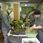 鉢物の植替え作業を行いました。