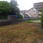 先日、除草剤を散布させていただきました。
